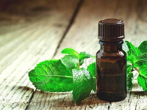 Truth Cosmetics1 amber essential oil bottle with mint leaves on wood featuring anti-microbial essential oil blend